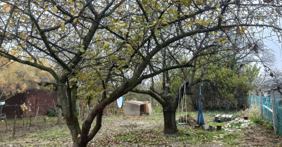 Kis birodalmam egy zuga