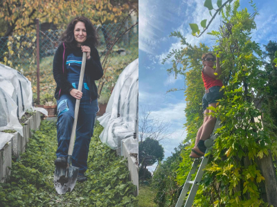 Minden időben munkában