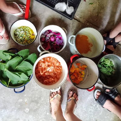 A természet színpompája